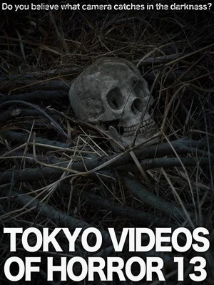 Постер: Tokyo Videos of Horror 13