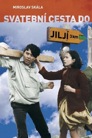 Постер: Bridal Tour to Jilji