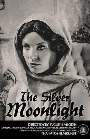 Постер: The Silver Moonlight