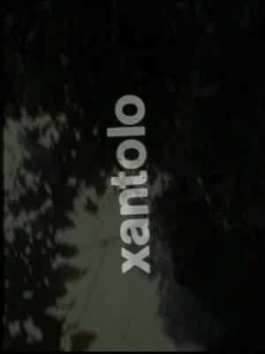Постер: Xantolo, fiesta de la muerte