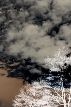 Постер: Clouds and Trees