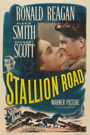 Постер: Stallion Road