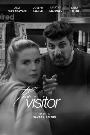 Постер: The Visitor