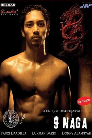 Постер: The Nine Dragon