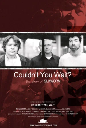 Постер: Couldn't You Wait?