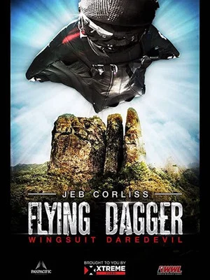 Постер: Flying Dagger