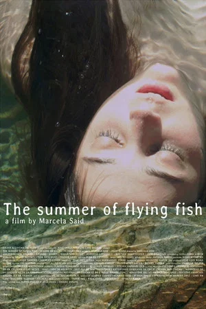 Постер: The Summer of Flying Fish