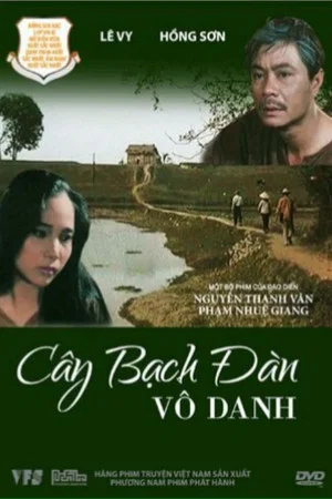 Постер: Cây Bạch Đàn Vô Danh