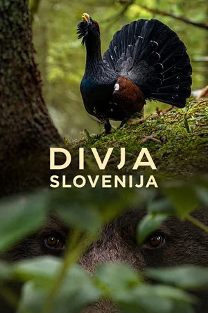 Постер: Wild Slovenia