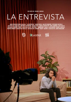 Постер: La Entrevista
