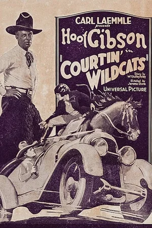 Постер: Courtin' Wildcats
