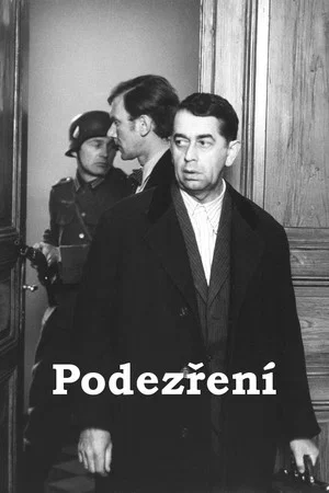Постер: Podezření