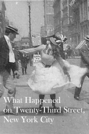Постер: What Happened on Twenty-Third Street, New York City
