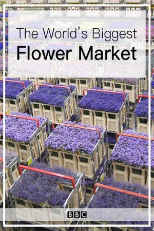 Постер: The World's Biggest Flower Market