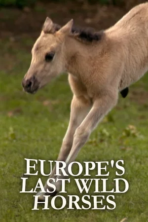 Постер: Europe's Last Wild Horses