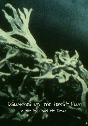 Постер: Discoveries on the Forest Floor 1-3