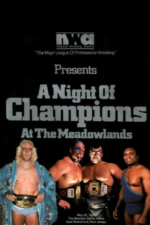 Постер: NWA Night of Champions