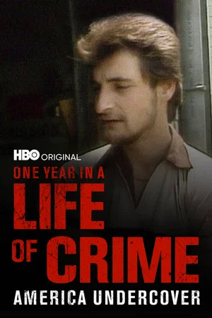 Постер: One Year in a Life of Crime