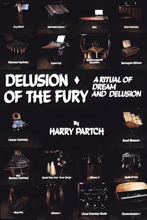 Постер: Delusion of the Fury: A Ritual of Dream and Delusion