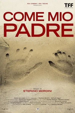 Постер: Come mio padre