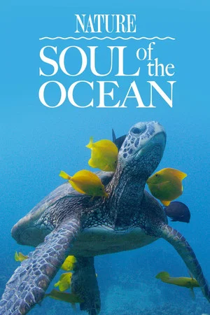 Постер: Soul of the Ocean