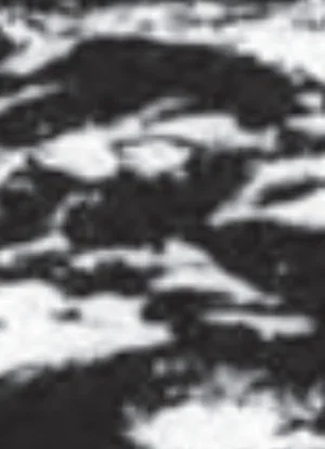 Постер: Burren