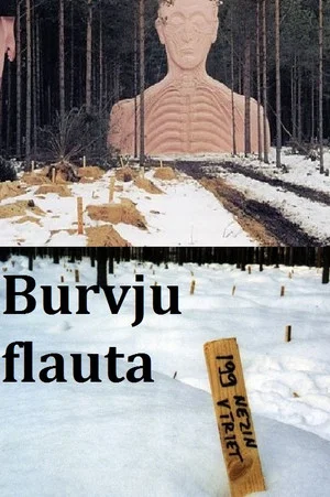 Постер: Magic Flute