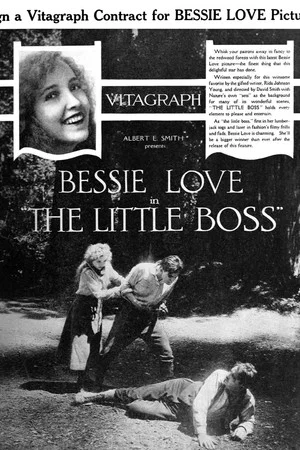 Постер: The Little Boss