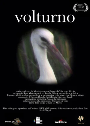Постер: Volturno