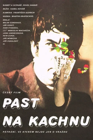 Постер: Past na kachnu