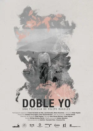 Постер: Double Me