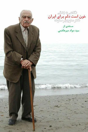Постер: My heart is bleeding for Iran