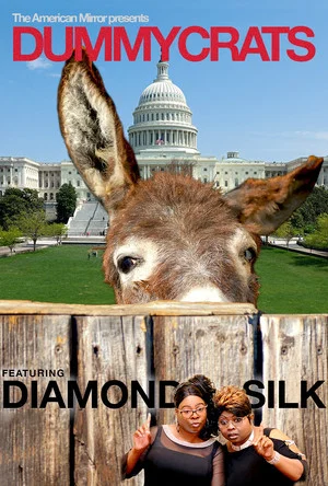 Постер: Dummycrats