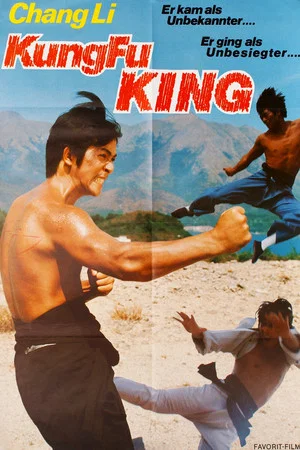 Постер: Kung Fu King