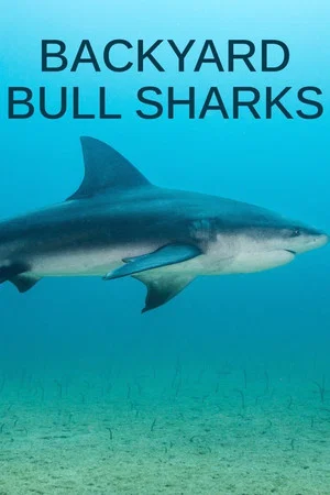 Постер: Backyard Bull Sharks