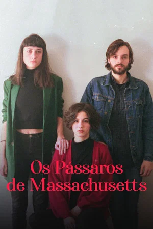 Постер: Os Pássaros de Massachusetts