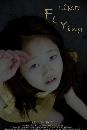 Постер: Like Flying
