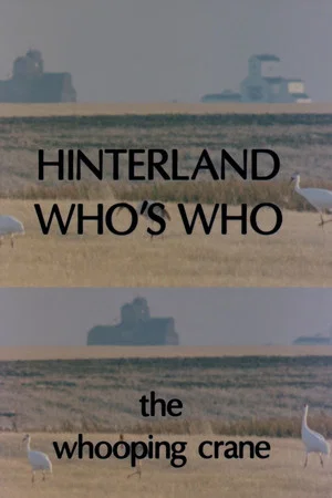 Постер: Hinterland Who's Who: Whooping Crane