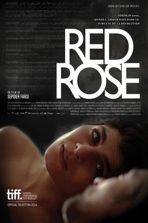 Постер: Red Rose