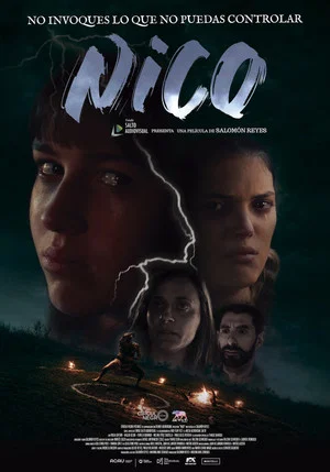 Постер: Nico