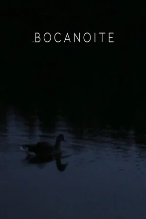 Постер: Bocanoite