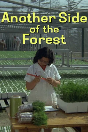 Постер: Another Side of the Forest