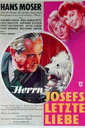 Постер: Herrn Josefs letzte Liebe