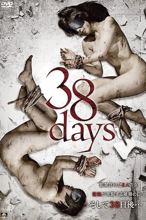 Постер: 38days