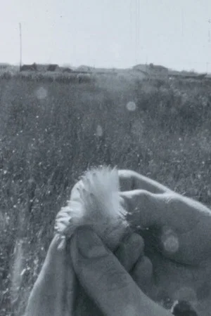 Постер: Homage #5