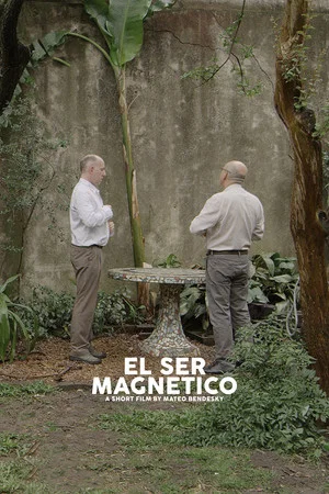 Постер: The Magnetic Nature
