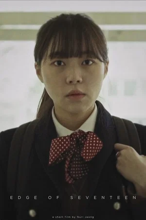 Постер: Edge of Seventeen
