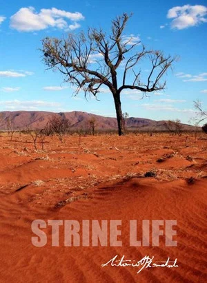 Постер: Strine Life