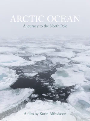 Постер: Arctic Ocean