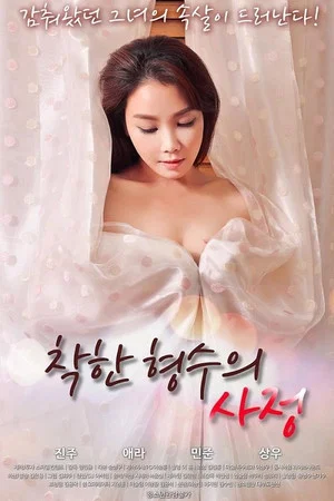 Постер: 착한 형수의 사정